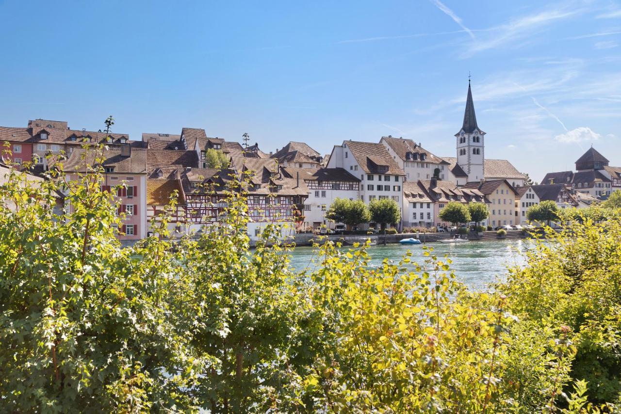 ガイリンゲンAm Hochrhein Deskoアパートメント エクステリア 写真